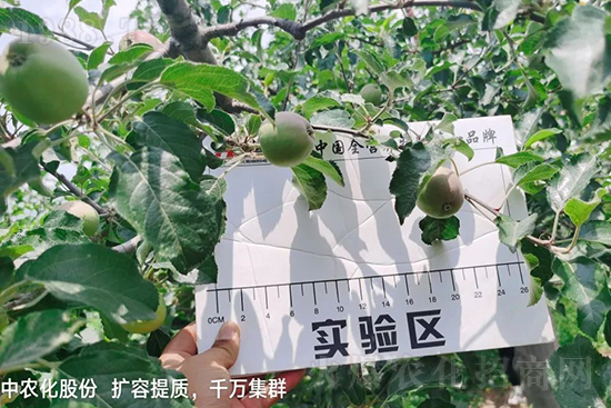     �����״���ɜp���rˎ���������ƹ��ӵ����^Ʒ�|���ɴ����߹�Ʒ�u�࣬�����׳��۲��u���߃r�����Թ����״�Ŀǰ��Ȼ���҇����@����Ҫ�����������״��O��������Ǻ���Ҳ�ٲ�����