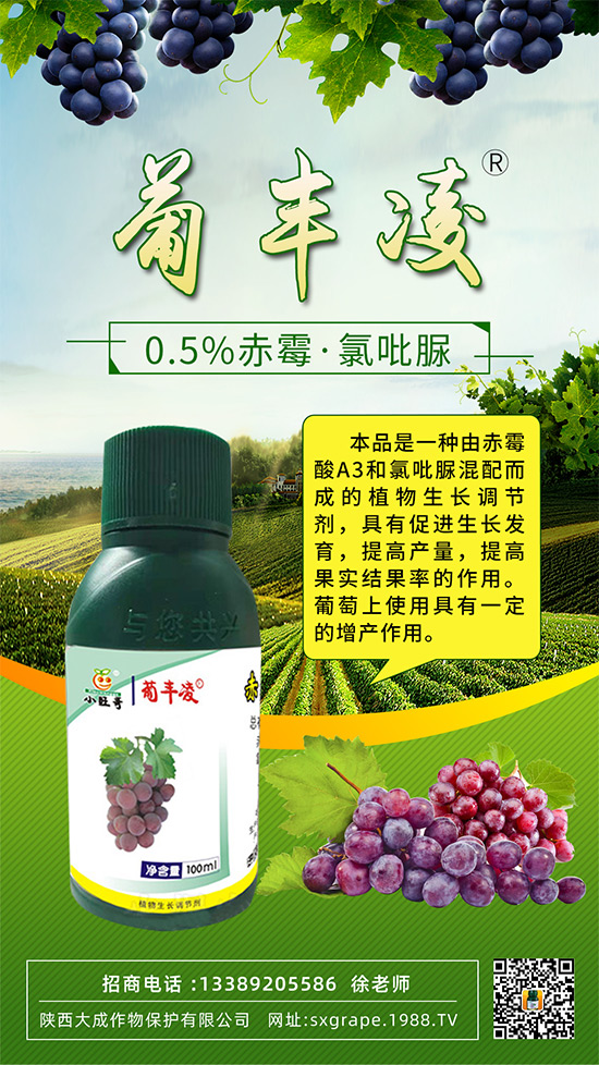 ���ѹ���ϡ������С����(y��n)����ô�k���@Щ�����ஔ(d��ng)��Ҫ