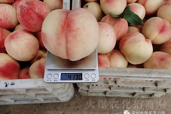 �Ҙ������ô�k���Ҙ����ԭ���A(y��)������