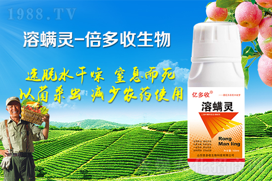 �ļ������~�����l(f��)��ô�k�������~����(y��ng)ԓ���ӷ�����