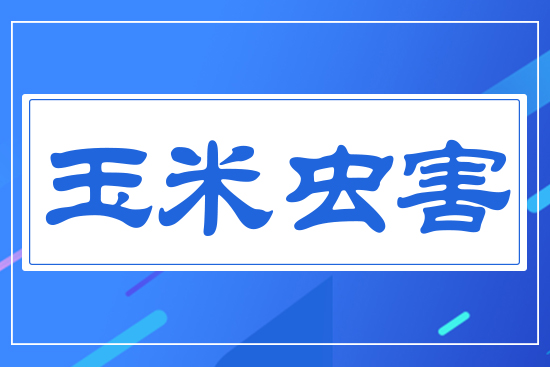 �����x(ch��ng)��