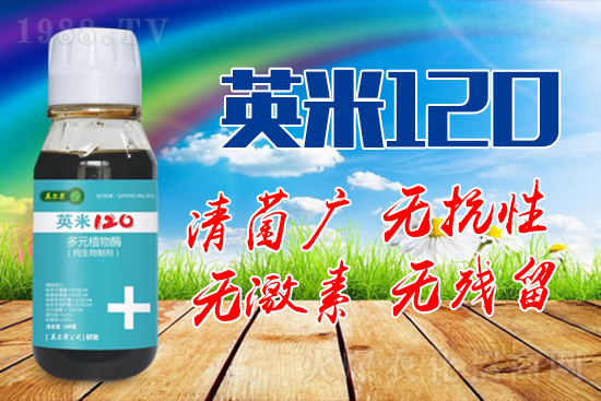 ��轰׷۲��İY����ʲô����轰׷۲����η�����