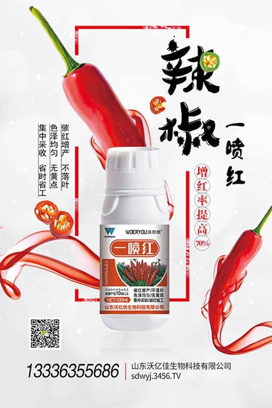 ���t�����95%���߼t�����~�����뷭�׷�����������һ���t��