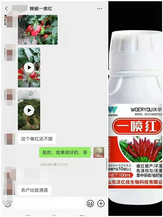 ���t�����95%���߼t�����~�����뷭�׷�����������һ���t��