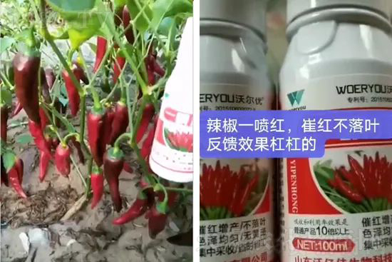 ���t�����95%���߼t�����~�����뷭�׷�����������һ���t��