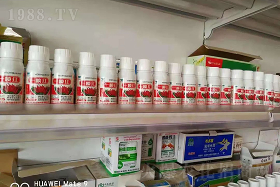 ���t�����95%���߼t�����~�����뷭�׷�����������һ���t��