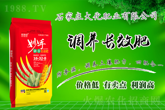 ��(zh��n)�Ժ�����������ʯ���f�󻯷ʘI(y��)�ٴκ��s1988.TV��