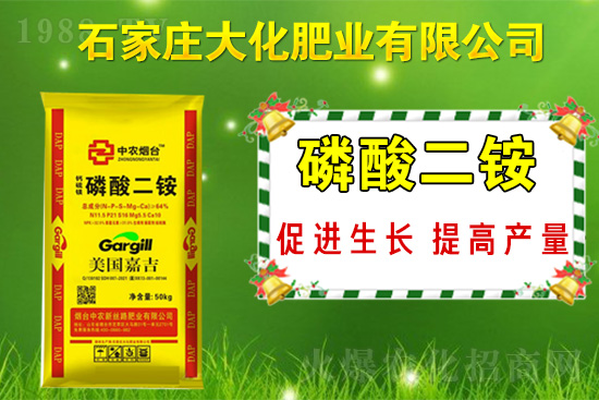 ��(zh��n)�Ժ�����������ʯ���f�󻯷ʘI(y��)�ٴκ��s1988.TV��