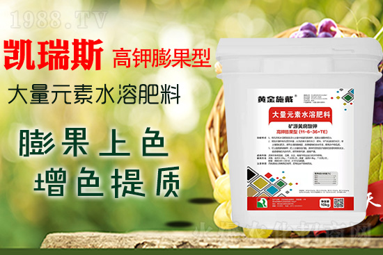     ���M(j��n)���������ɫ���@��(g��)�䷽��(zh��n)�]�e(cu��)���������|(zh��)���a(ch��n)��