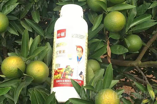 �t���ء�ֻ���D(zhu��n)ɫ�������D(zhu��n)ɫ�����ߣ��߼t���ó���