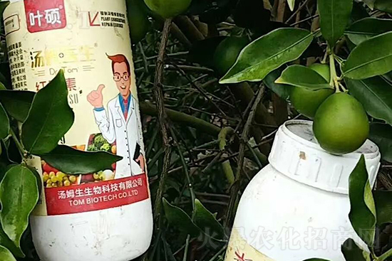 �t���ء�ֻ���D(zhu��n)ɫ�������D(zhu��n)ɫ���������߼t���ó���