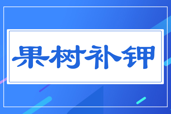 ����(sh��)�a(b��)�