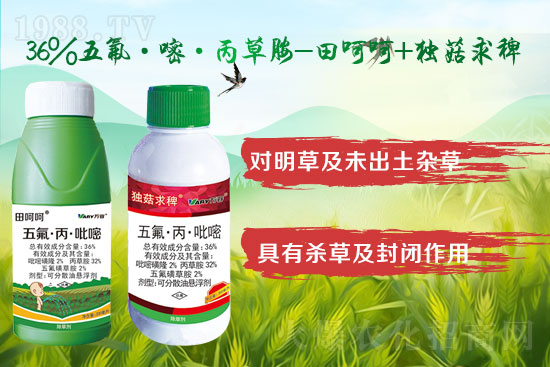 ���݄��r��