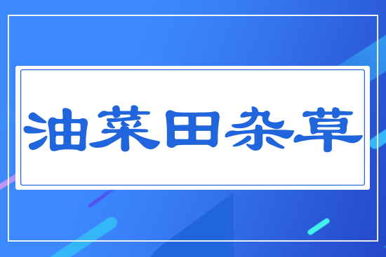 �Ͳ����s��