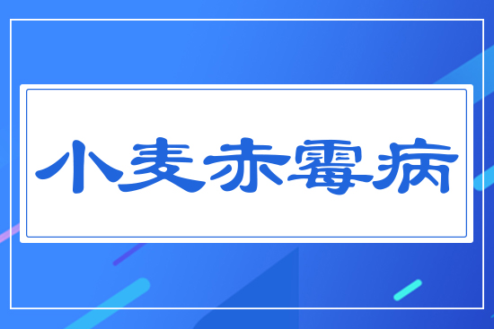 С����ù��