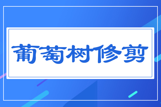 ���ј�(sh��)�޼�