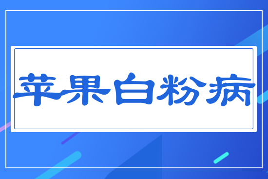 �O(p��ng)���׷۲�