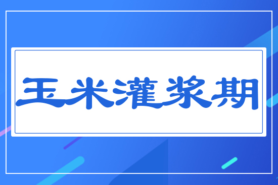 ���׹��{��