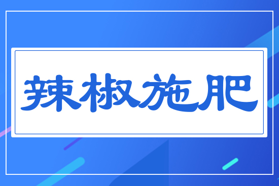 ����ʩ��