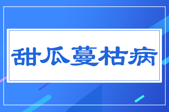 ������ݲ�