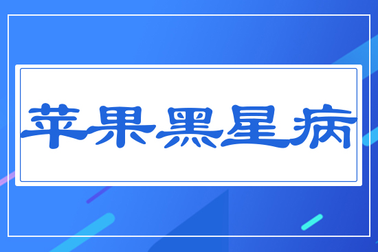 �O�����ǲ�