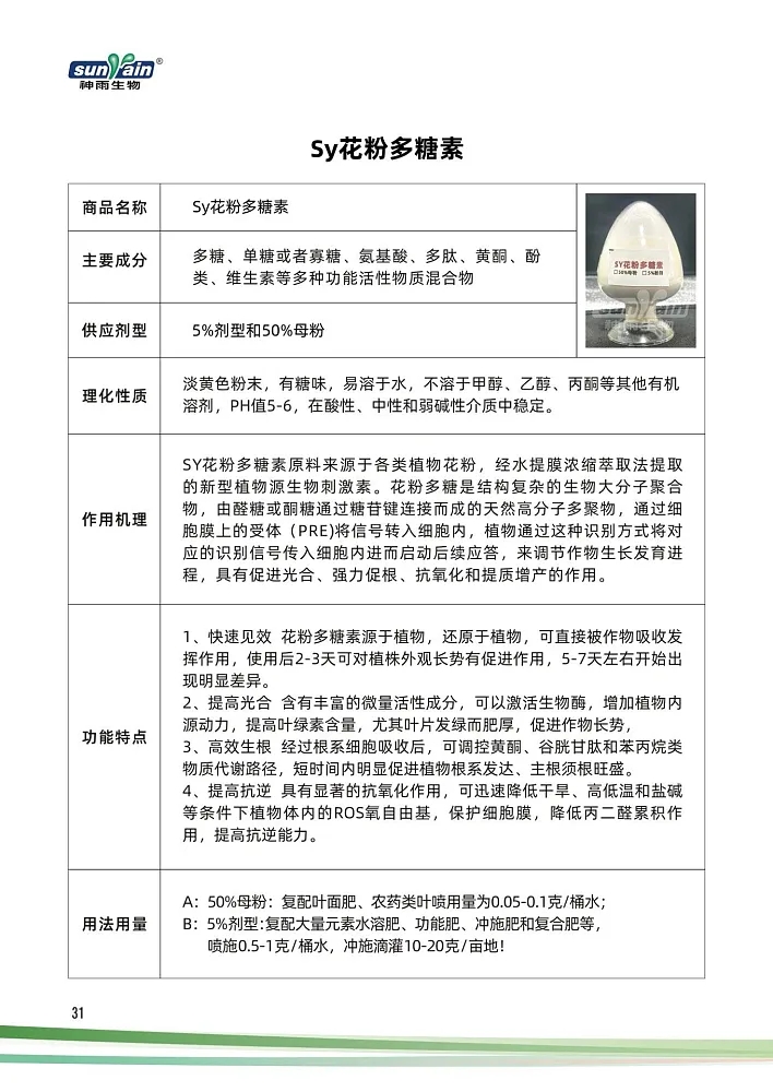 SY���۶�����