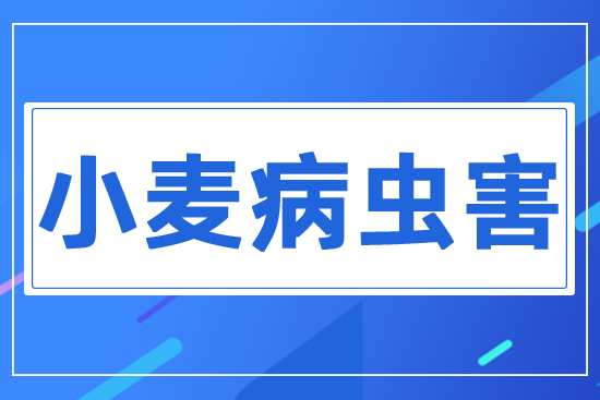 С�����x(ch��ng)��