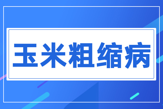 ���״ֿs��