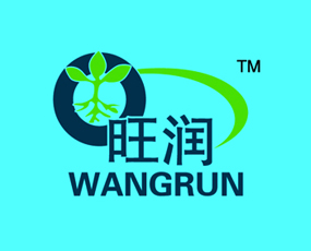 �ӱ������r�I(y��)�Ƽ����޹�˾