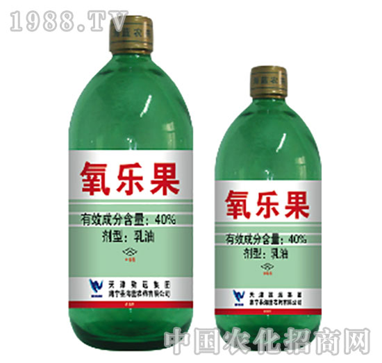 40%������-���{(l��n)