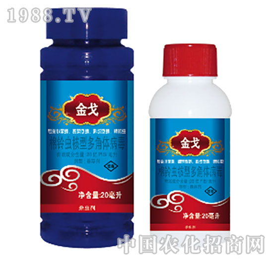 20�|PIB/��������x���Ͷ���w����-���-���{(l��n)