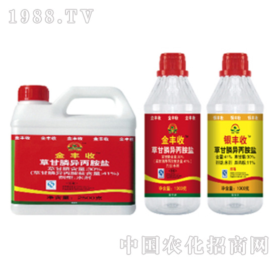 41%�ݸ�좮������}-���{