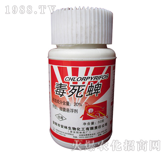 20%������-����