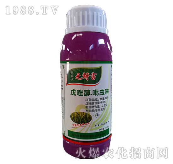 11%�������x��-�o����-�읙����