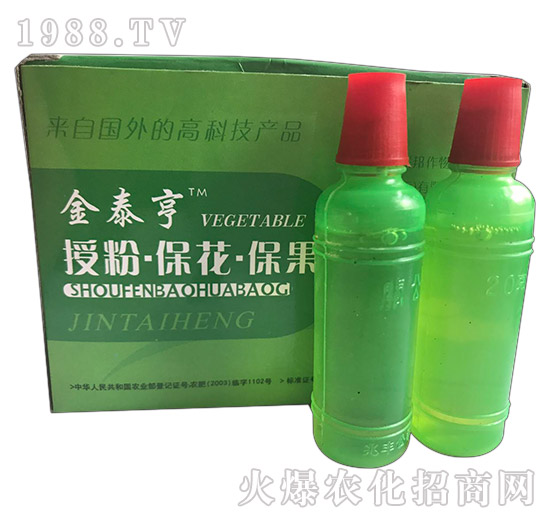 ��̩��-�ڷ۱���������