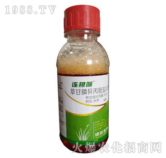 41%�ݸ�좮������}-�B����-�Z������