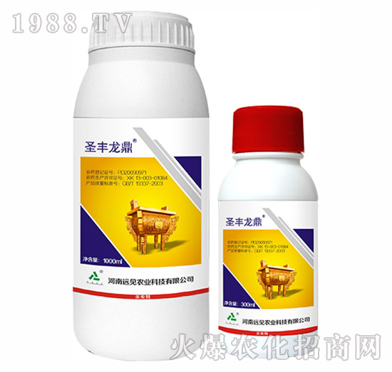 5%���S����-ʥ�S����-�h(yu��n)Ҋ�r(n��ng)�I(y��)