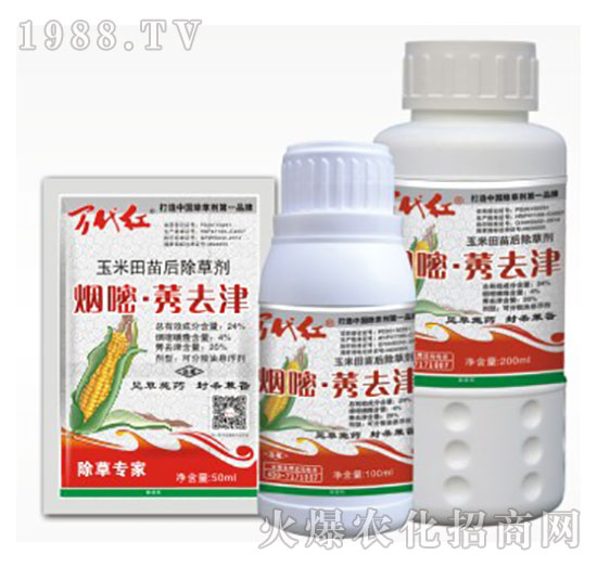 24%����.ݬȥ��-�f(w��n)���t-�G��