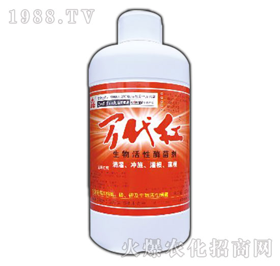 �������ø����-�f(w��n)���t-�G��