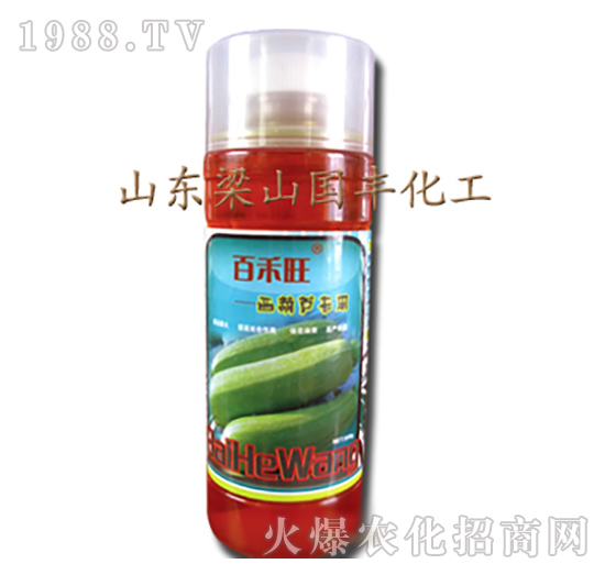 �����J�����~���-��ɽ���S