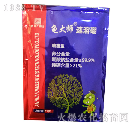 ������-����-������