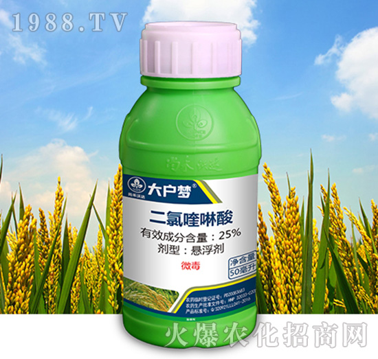 25%���������-����-�к����_