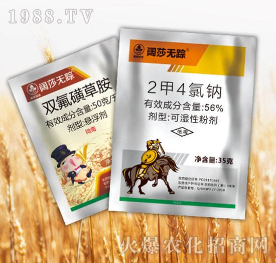 �ɯ�o(w��)ۙ�M��-�к����_(d��)