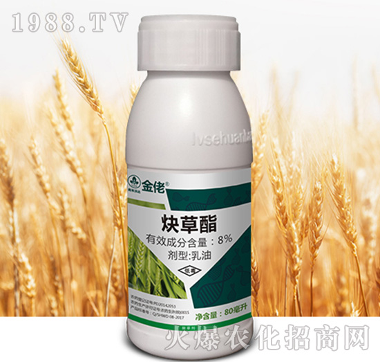 8%Ȳ����-����-�к����_(d��)