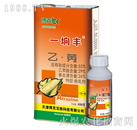 55%�ҡ�ݬ-һ�s�S-���˰ل�