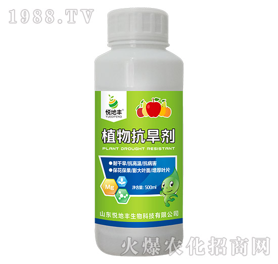 ֲ�￹����-�����S