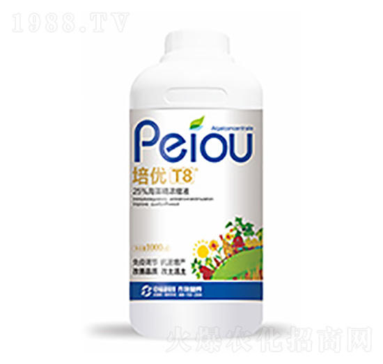 ����(y��u)T8-�����Ƽ�