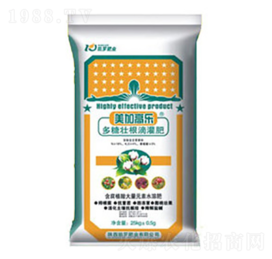 ���ǉѸ��ι��-���Ӹߘ�-�P�_�ʘI(y��)