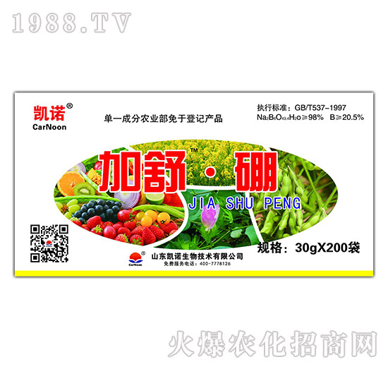 ���桤��-�P�Z����