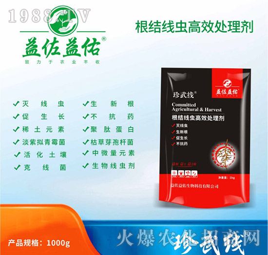 ���Y(ji��)���x��Ч̎�턩-��������